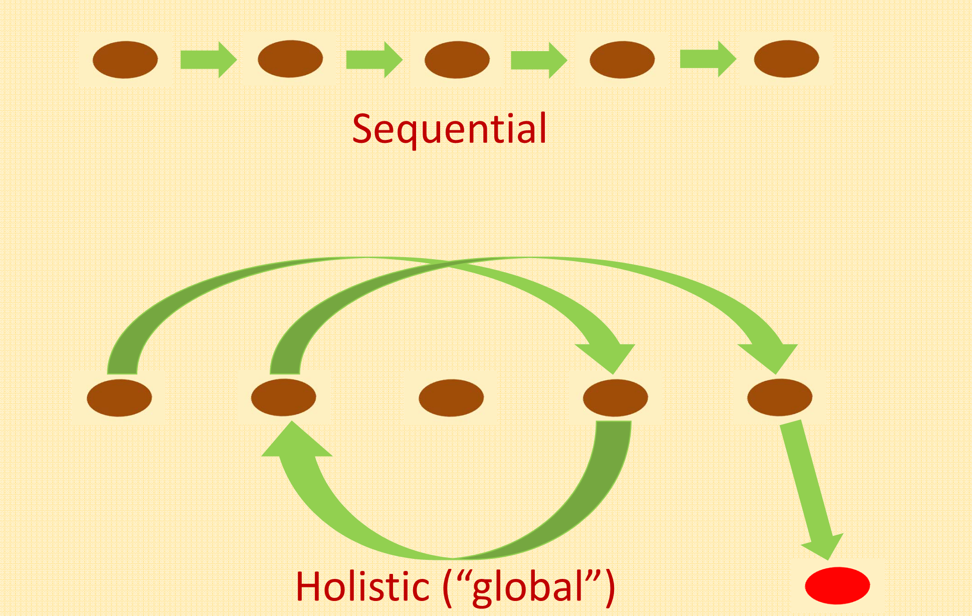 Sequential and Holistic Thinking